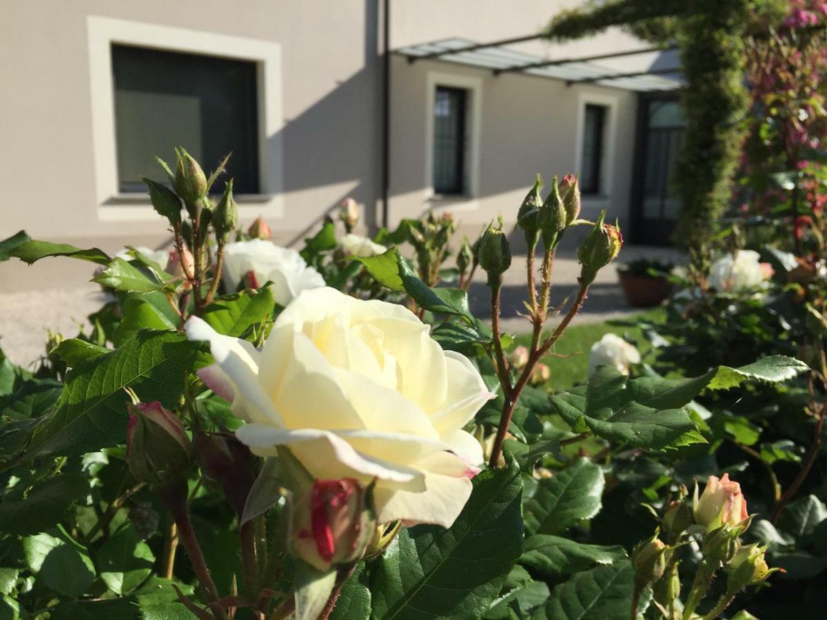 B&B Cascina Sagrestia Asola Eksteriør bilde